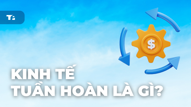 Kinh Tế Tuần Hoàn Là Gì? 5 Ví Dụ Thực Tiễn Dễ Hiểu Nhất