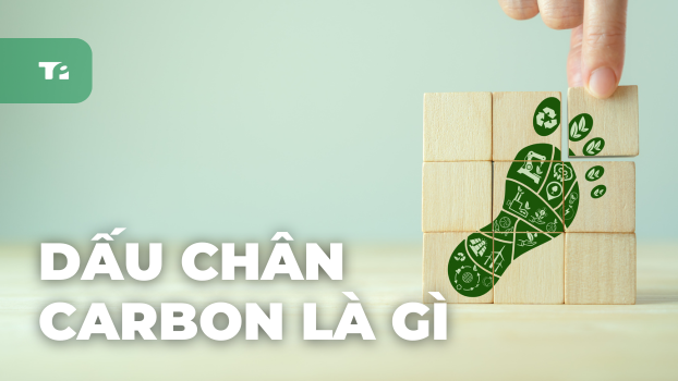 Dấu Chân Carbon Là Gì? Cách Tính & 5 Chiến Lược Giảm Thiểu